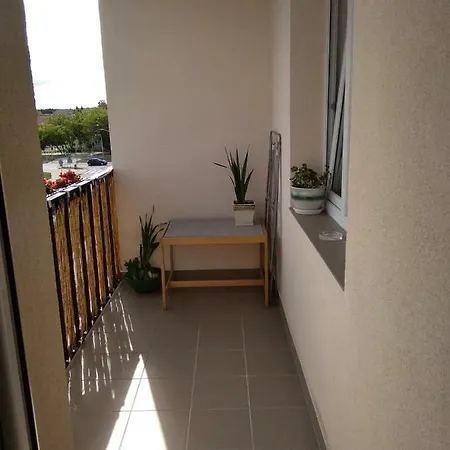 Kaktusik Apartment Suwalki Exterior photo