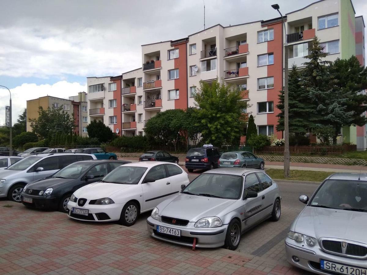Kaktusik *